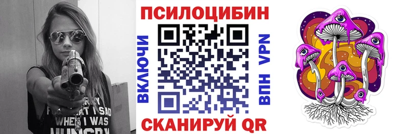 где можно купить   Боровск  Псилоцибиновые грибы Magic Shrooms 